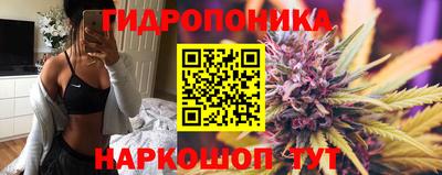 таблы Новокубанск