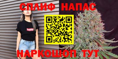 винт Новозыбков