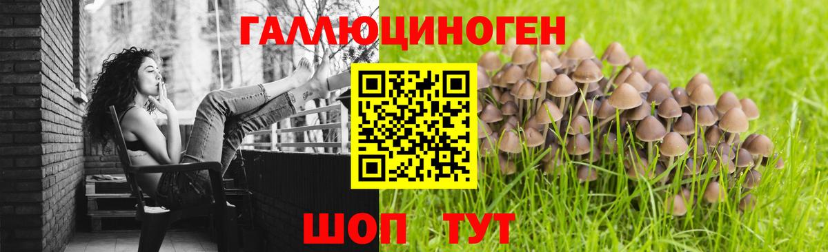 Псилоцибиновые грибы мицелий  Вход с VPN  Полевской 